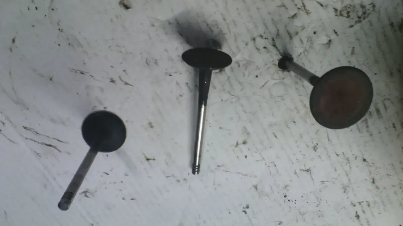 Клапан  выпускной 7078136 Форд 2.0ДОНС 8V