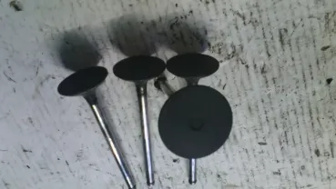 Клапан впускной Т-Т 2908 Опель 2.3Д  GM 90194795 оригинал 642655