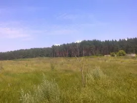 Продам 3 га земли в с. В.Бабка