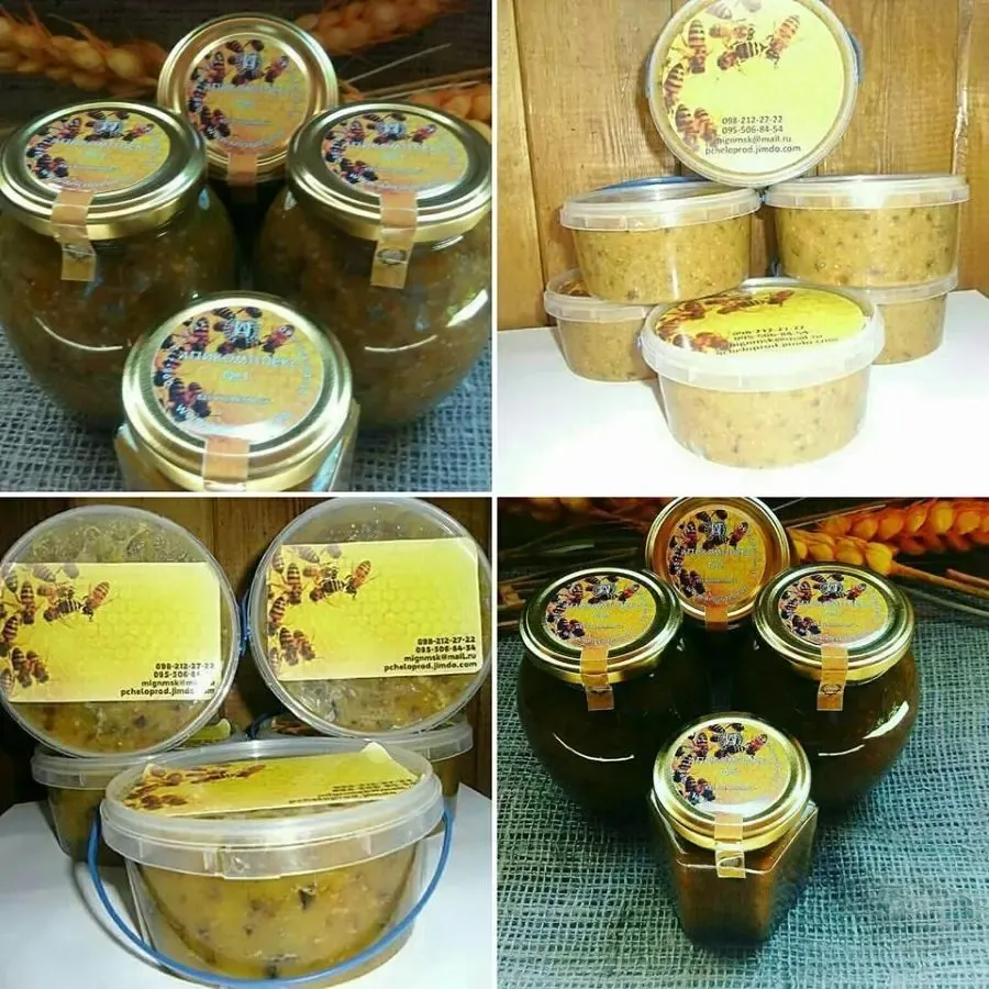 Апикомплекс № 2 2