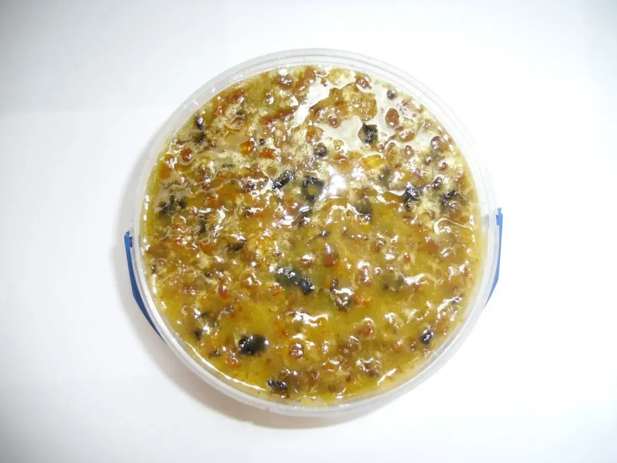 Апикомплекс № 2 3