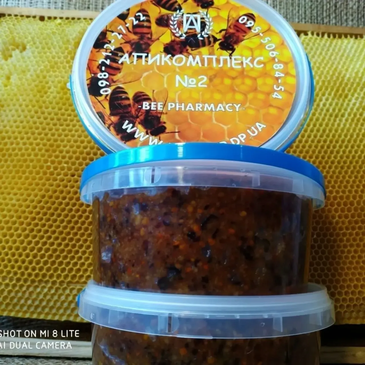 Апикомплекс № 2