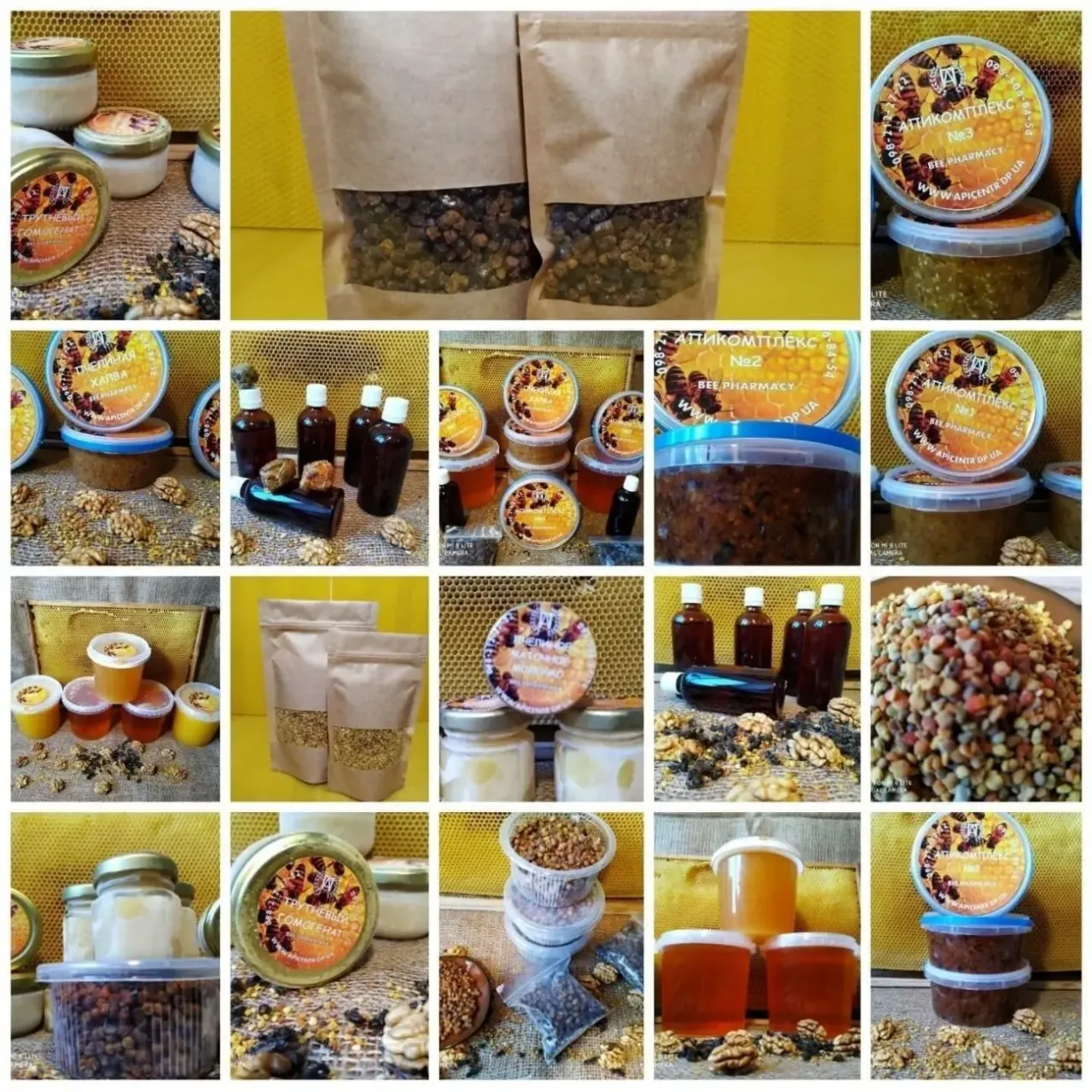 Апикомплекс № 2 6