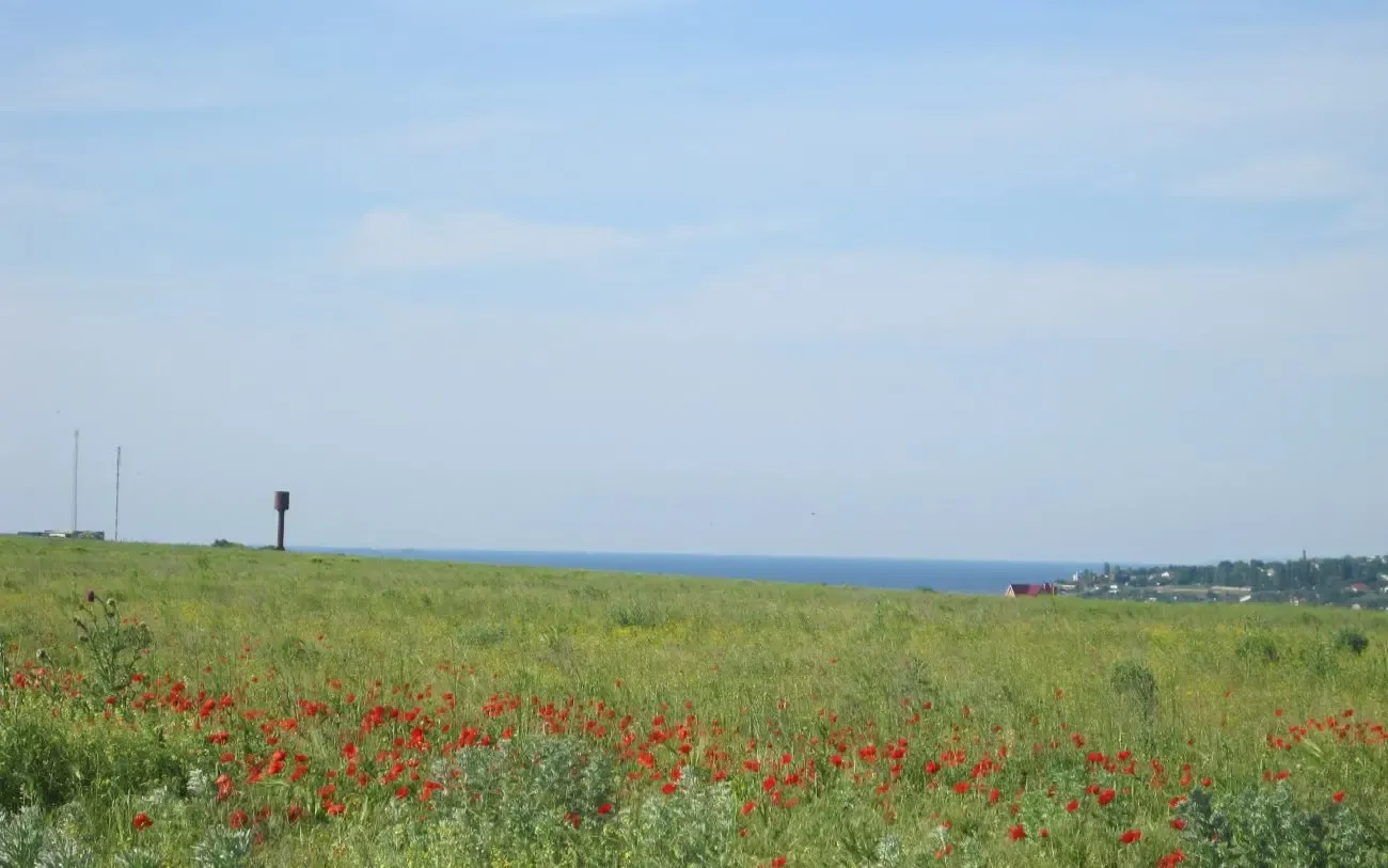 Продам свой участок 7 соток , 2 км до моря, Новая Дофиновка 4