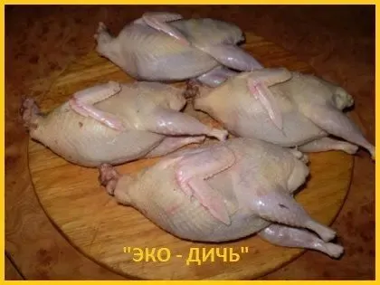 Свежее мясо перепела, тушки с домашней фермы. 3