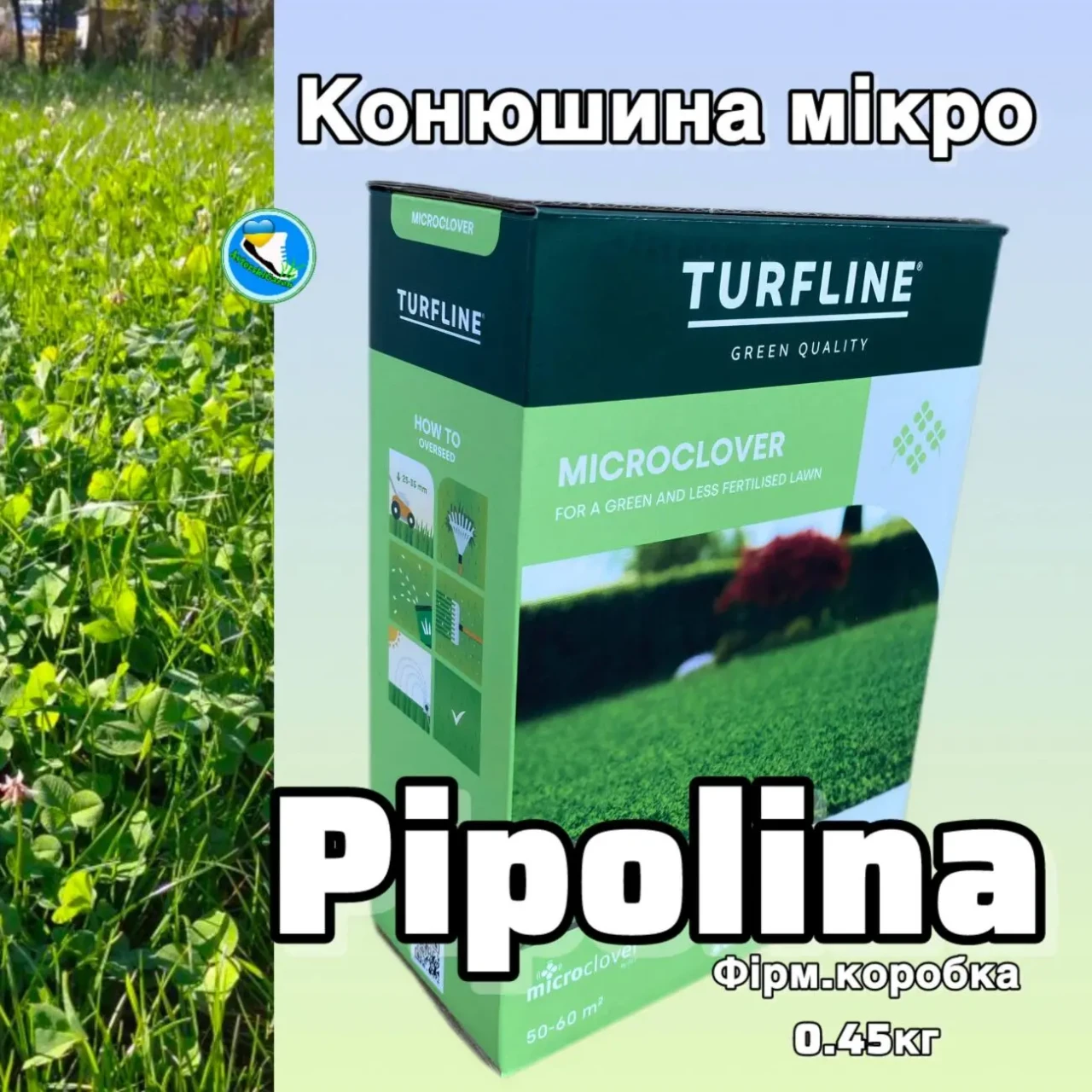 Микро Клевер белый акция! ОСЕННЯЯ цена / газон с цветами