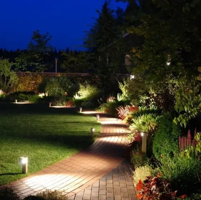 Газонная трава семена цена низкая газон для всего 2