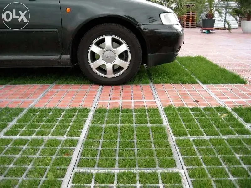 Газонная трава семена цена низкая газон для всего 5