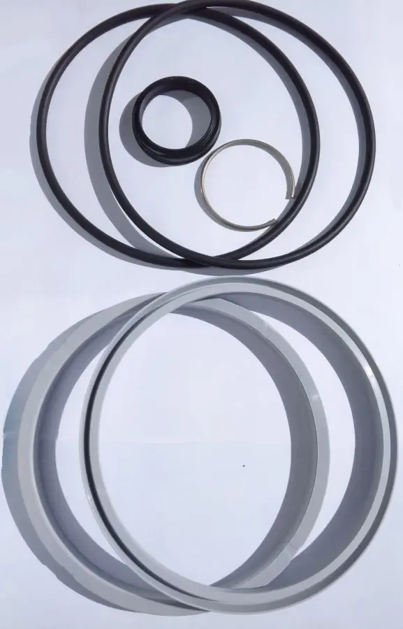 FESTO DNG-160-100-PPV-A - ремкомплект