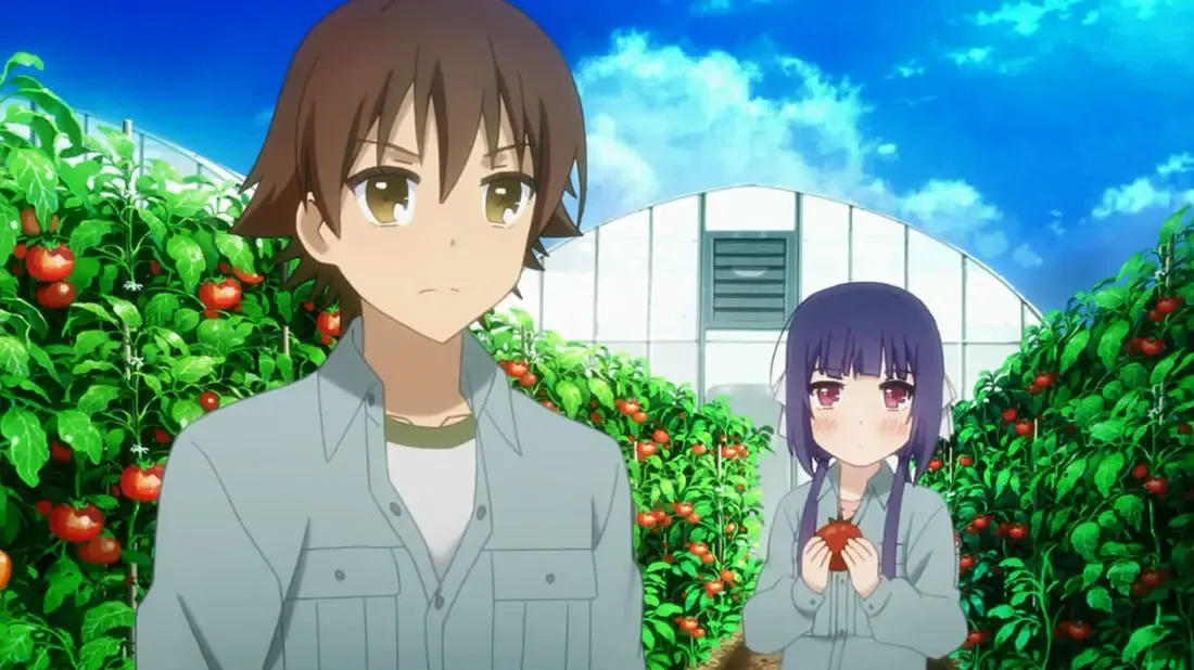 Аниме на dvd Nourin No-Rin Сельско-лесное хозяйство 2