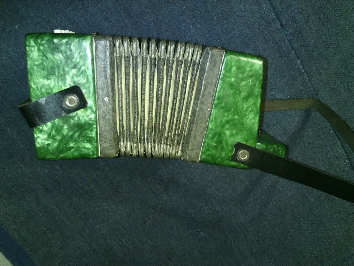 Гармошка-баян. 2