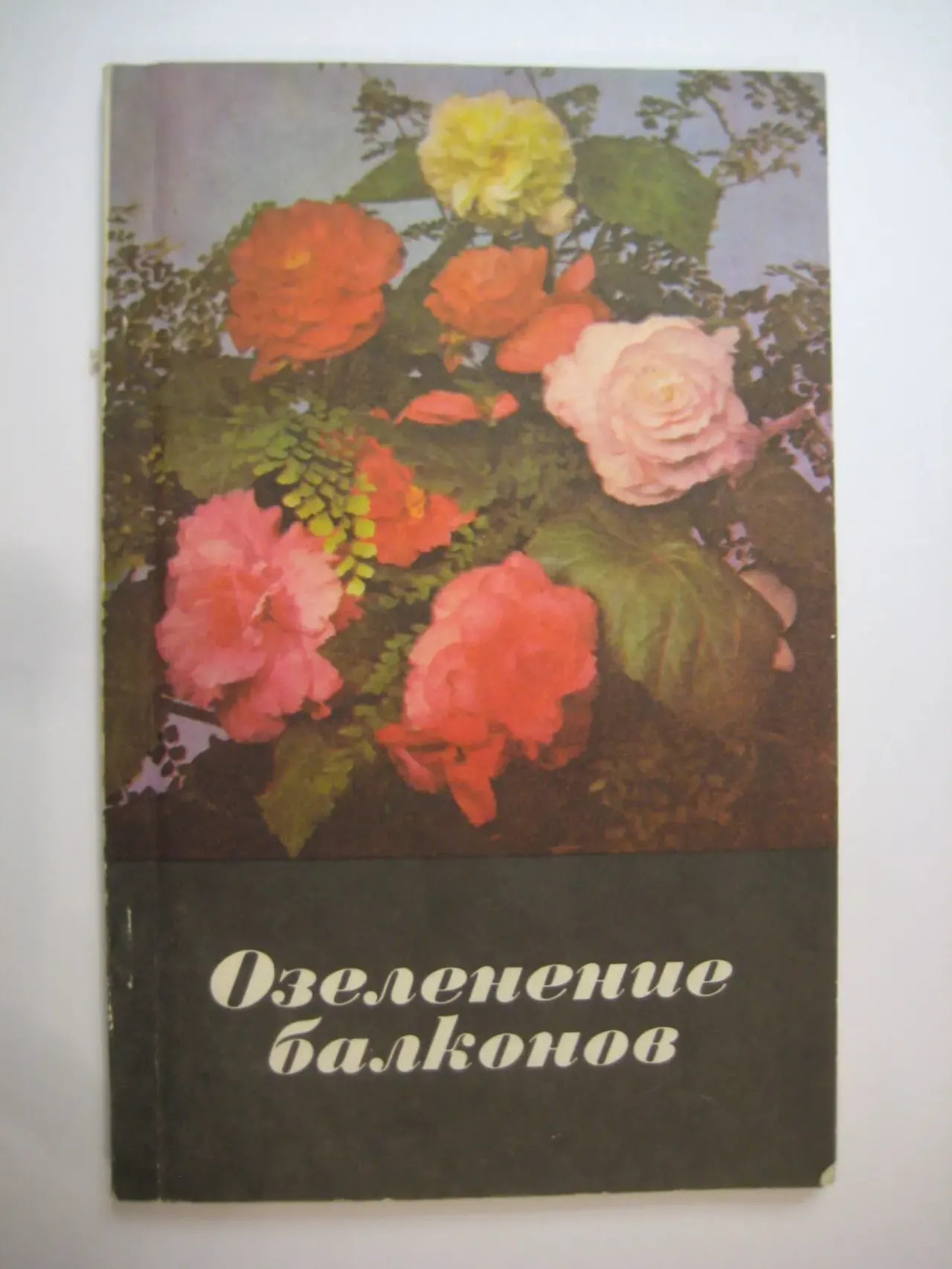 Озеленение балконов