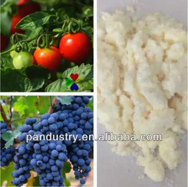 гиббереллин А3 90% 4