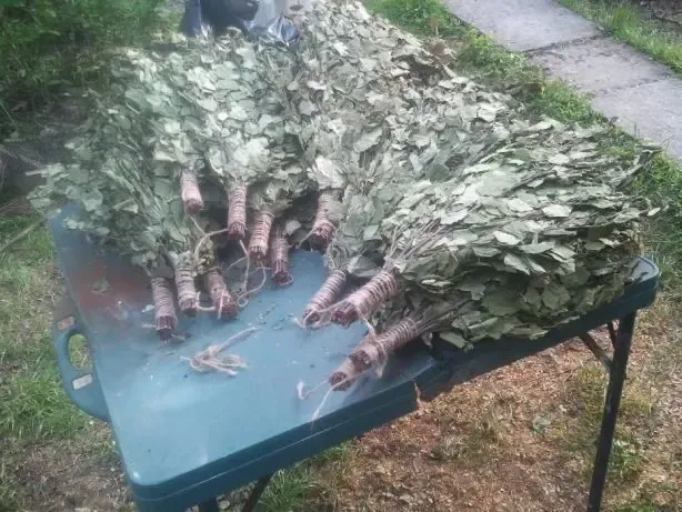 Веники банные березовый, дубовый, липовый, кленовый, вишневый, эвкалип 10