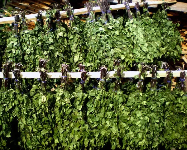 Веники банные березовый, дубовый, липовый, кленовый, вишневый, эвкалип 3