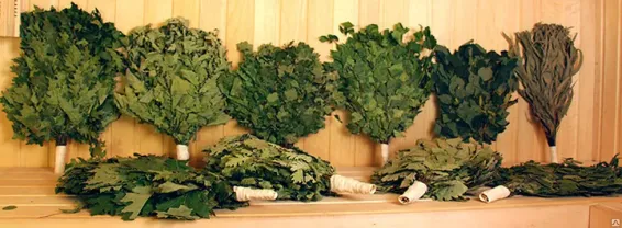 Веники банные березовый, дубовый, липовый, кленовый, вишневый, эвкалип
