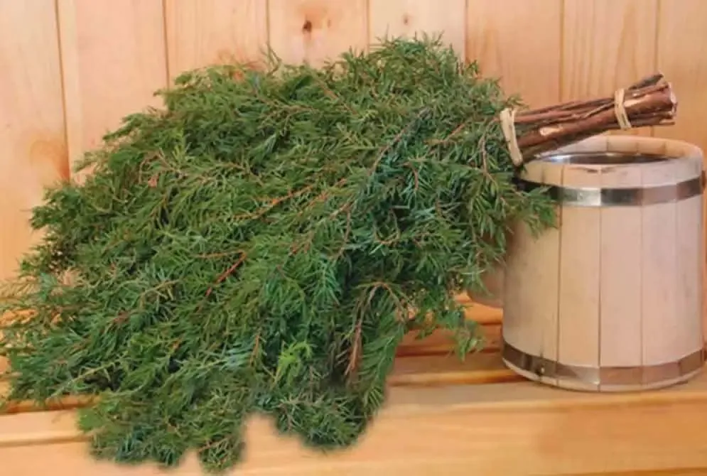 Вiники для банi сауни дуб береза эвкалипт можжевельник ялинка вишня 5