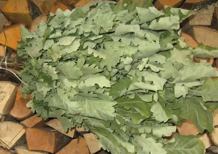 Веники банные березовый, дубовый, липовый, кленовый, вишневый, эвкалип 8