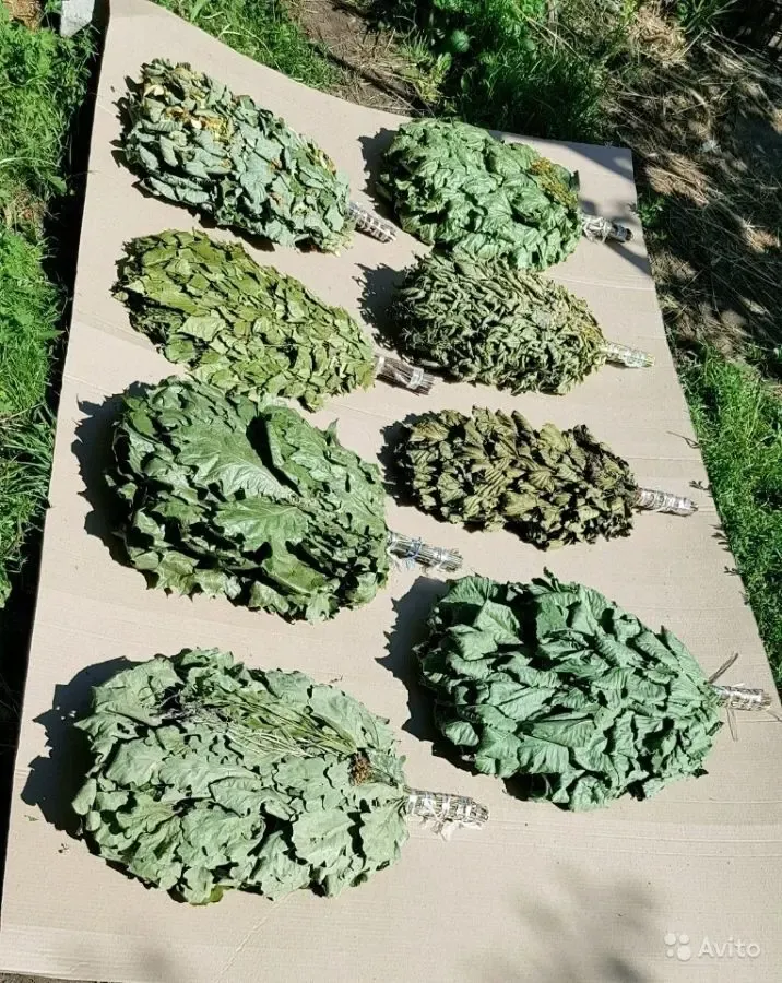 Веники банные березовый, дубовый, липовый, кленовый, вишневый, эвкалип 3