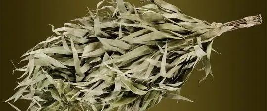 Веники банные березовый, дубовый, липовый, кленовый, вишневый, эвкалип 6