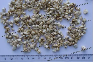 Гречиха, гречка воздушная, взорванная, дутая Puffed Buckwheat