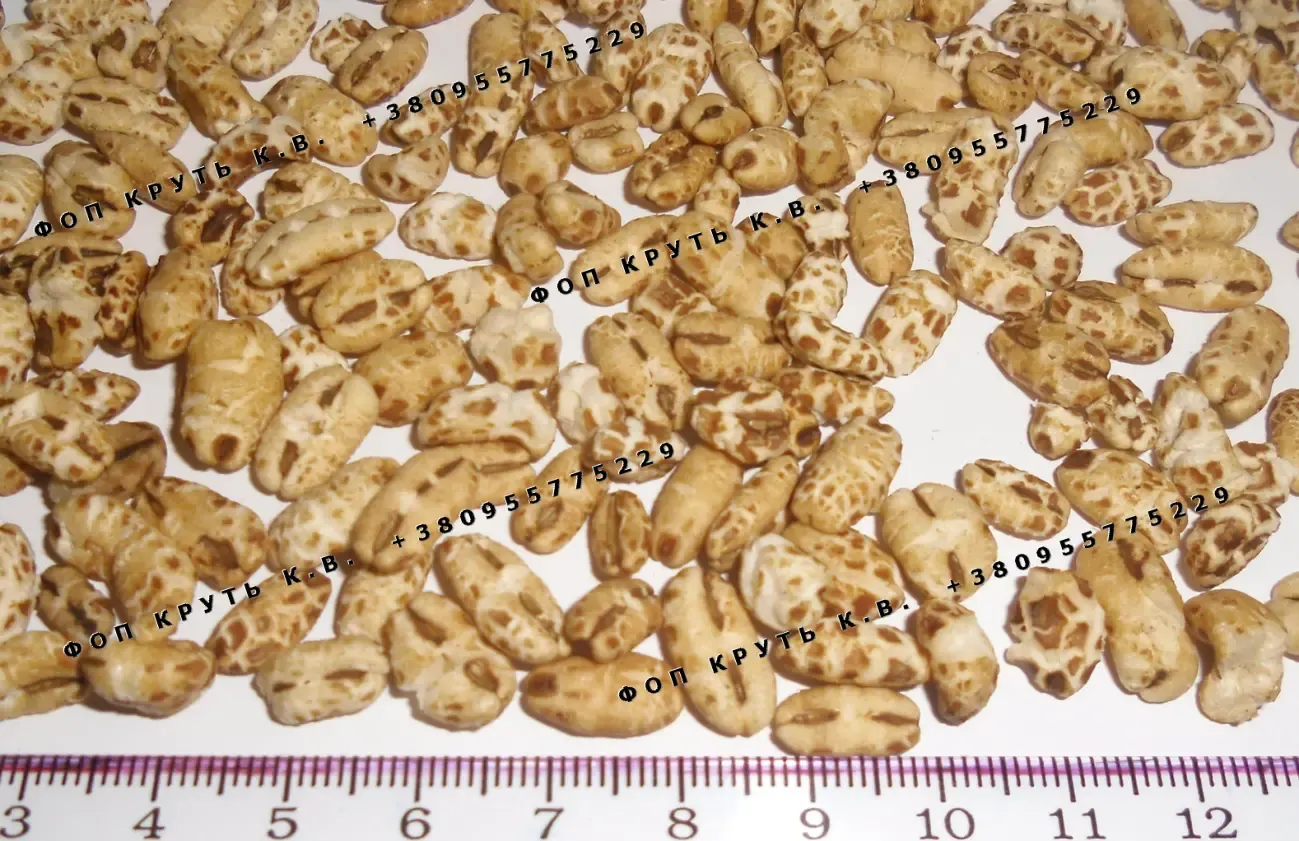 Воздушный ячмень взорванный Puffed Barley 2