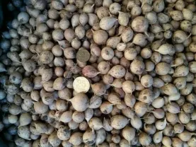 Продам чеснок. В наличии: Однозубка, Воздушка