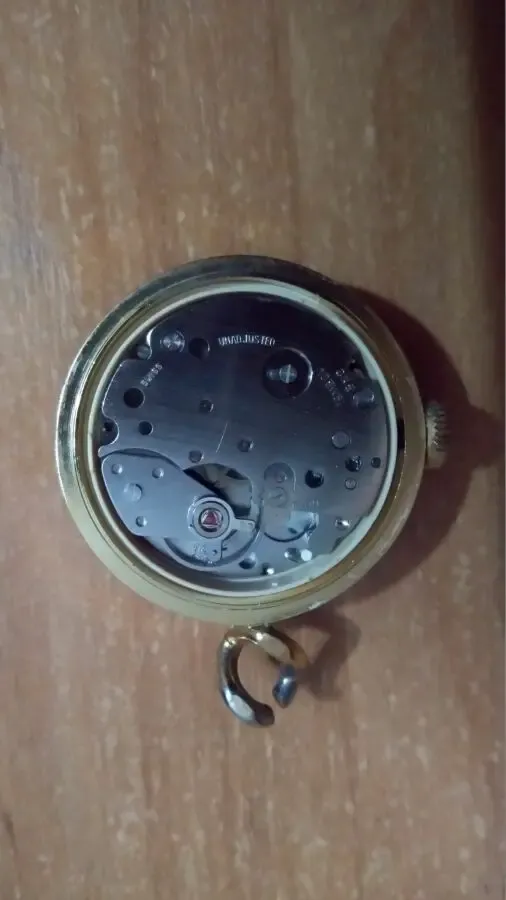 Часы VICTOR (SWISS) 2