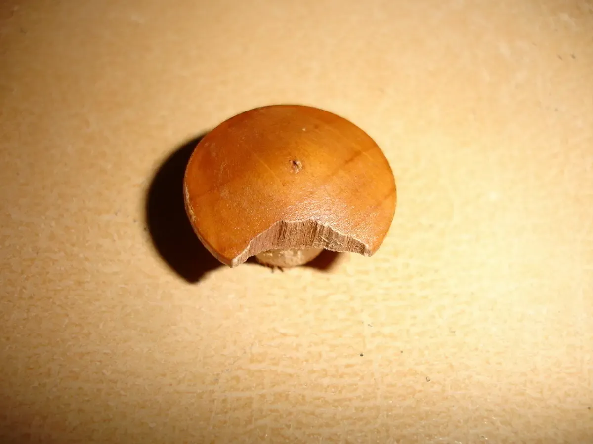 Сольница/солянка/сільничка дерево - свинка 8х5 см; натуральна 9