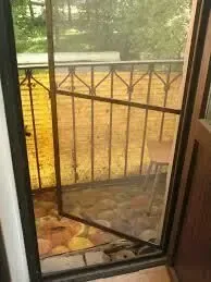 Москітні сітки 2