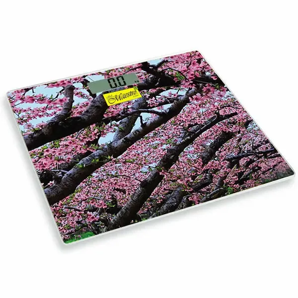 Электронные высокоточные персональные весы Maestro