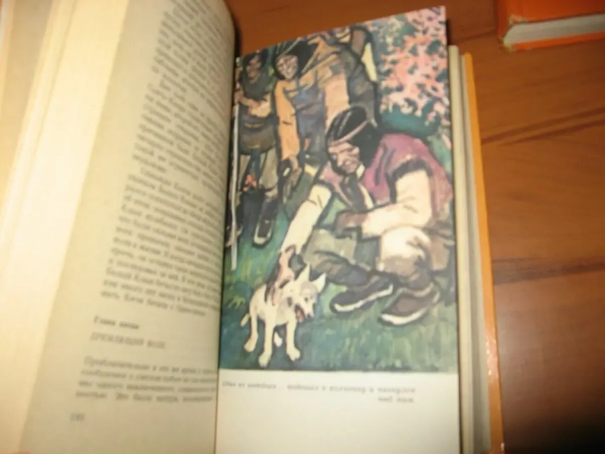 Джек Лондон. Приключенческие романы, повести и сборник рассказов. 7