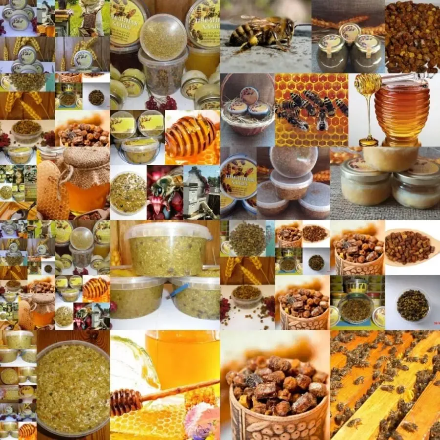 Перга( Пчелиный Хлеб) 3