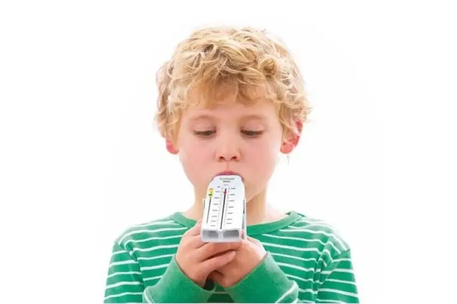 Пикфлоуметр 5