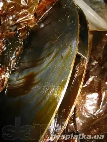 Ротор 280Н.25СБ-01, ротор К-250-61-5 2