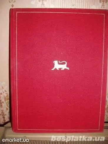 Шота Руставелли. Витязь в тигровой шкуре