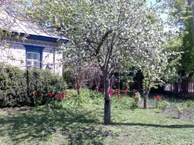 Краснознаменка,район петровки,продам дом