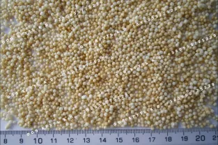 Амарант воздушный, взорванный, дутый