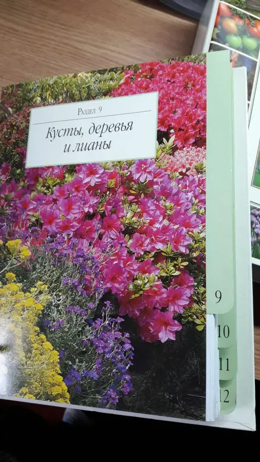 Альбом «Сад моей мечты» по цветоводству и огородничеству 4