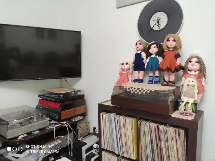 Голки, головки для стерео програвачів вінілу, електрофонів та радіол 8