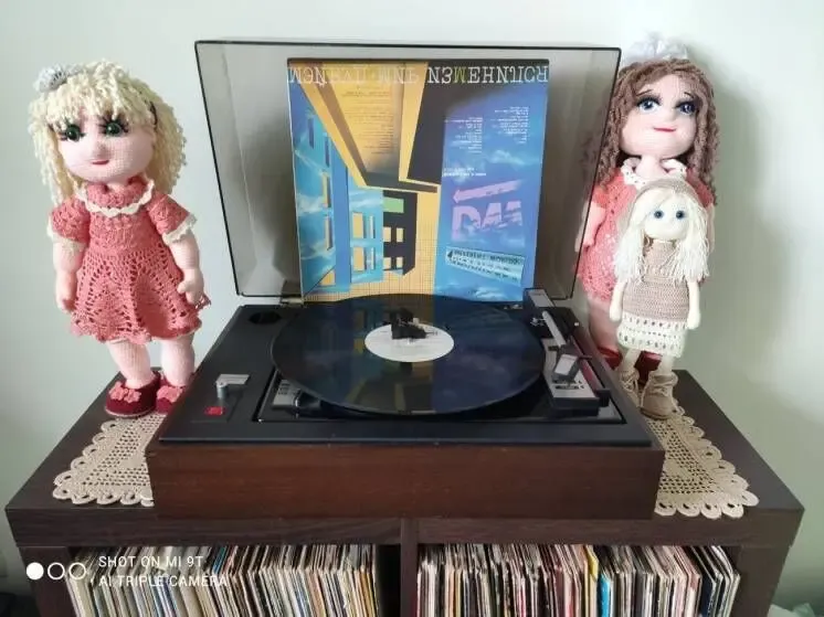 Голки, головки для стерео програвачів вінілу, електрофонів та радіол 6