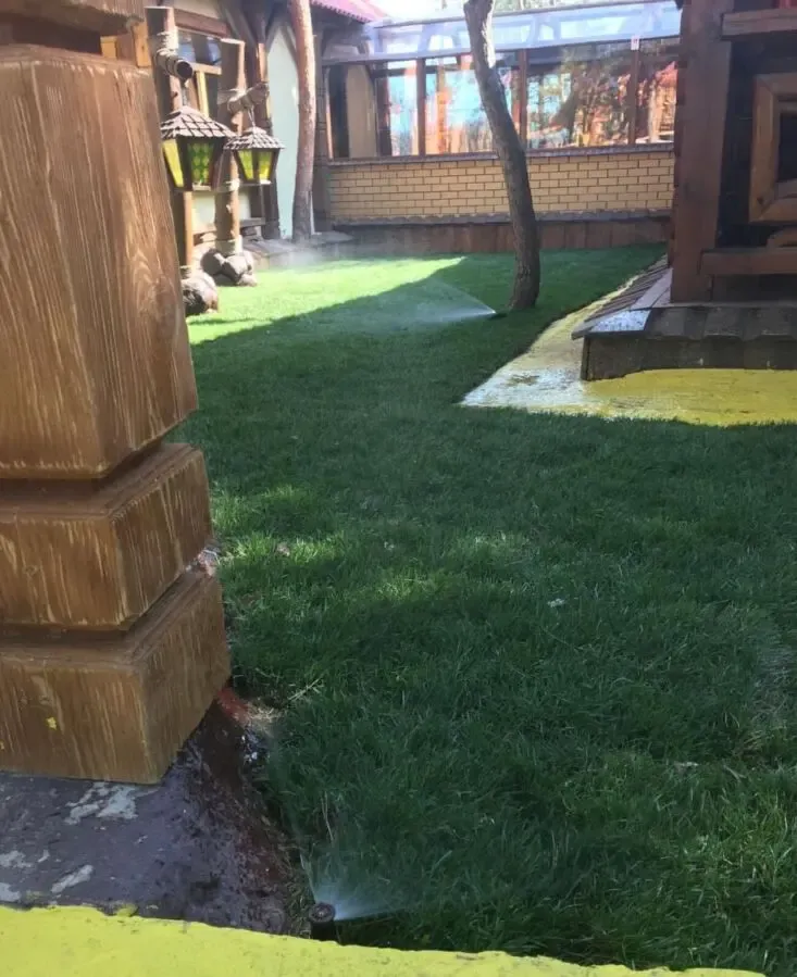 Газон парковый теневой универсальный семена газонная трава 10