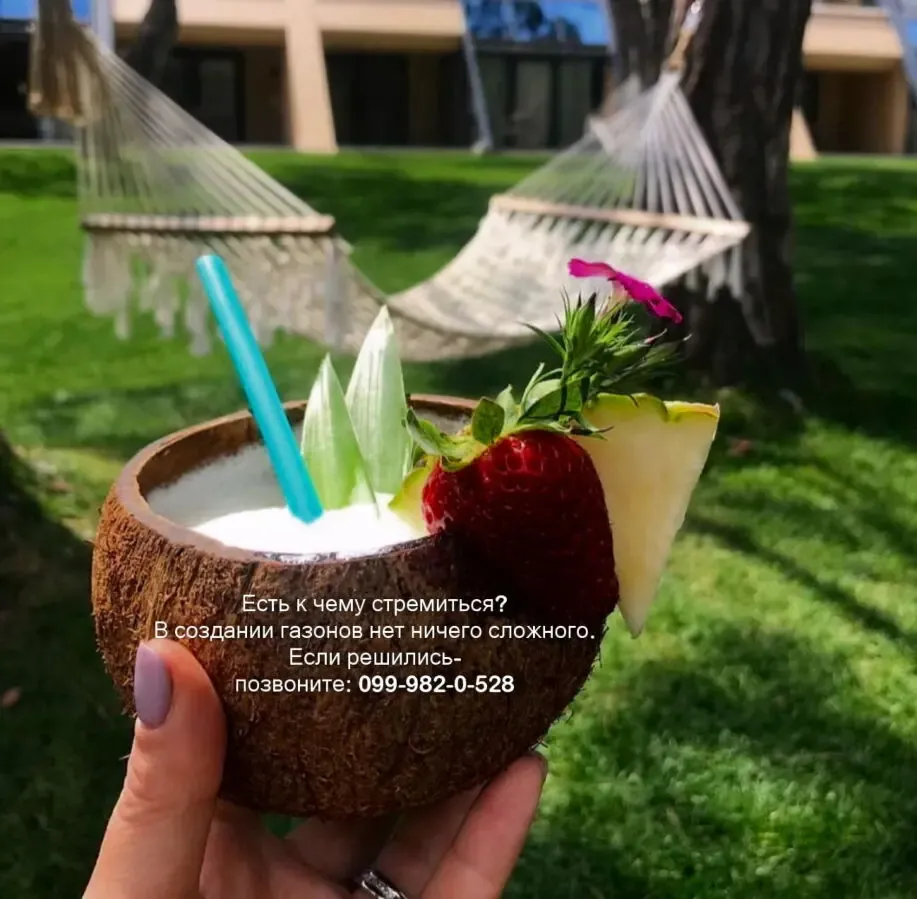 Газон парковый теневой универсальный семена газонная трава