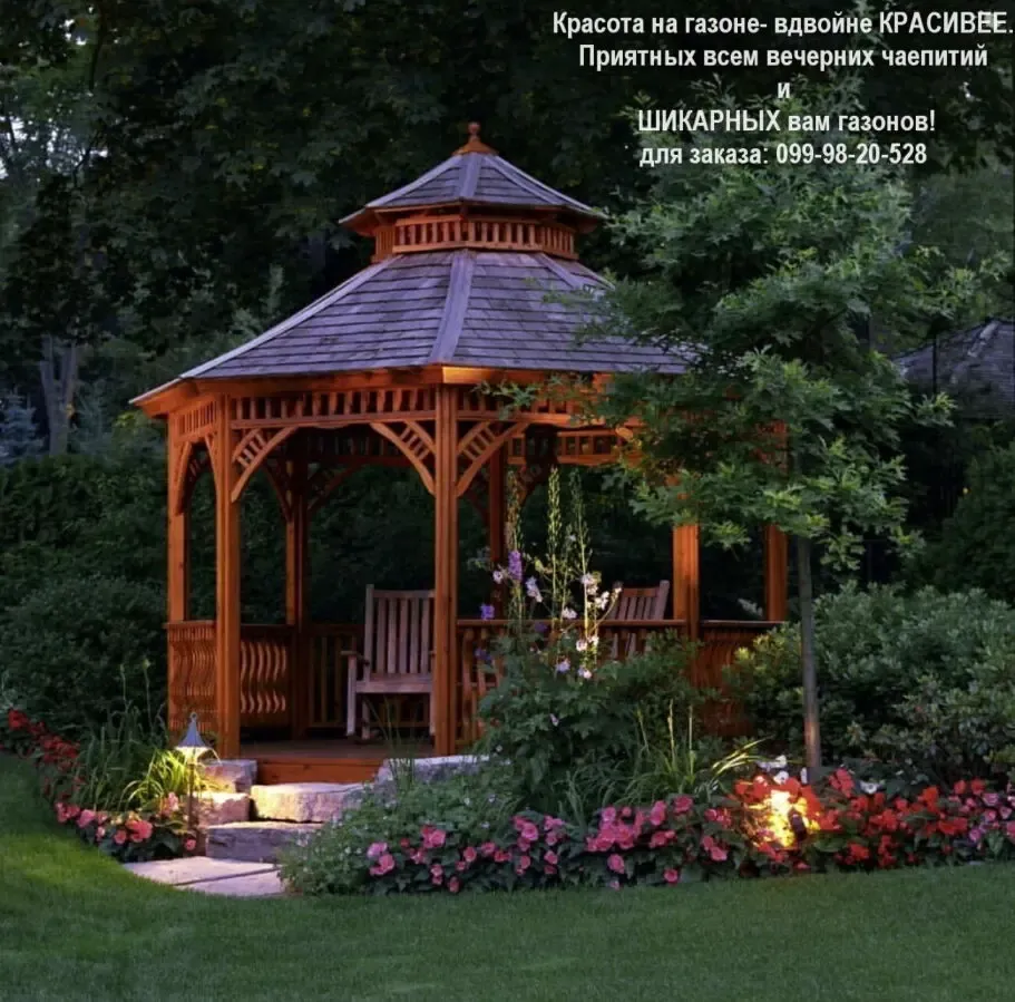 Газон парковый теневой универсальный семена газонная трава 5