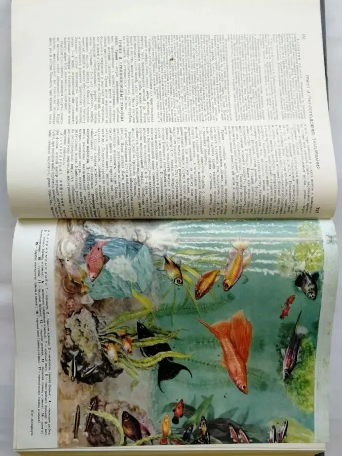 Краткая энциклопедия домашнего хозяйства. 4