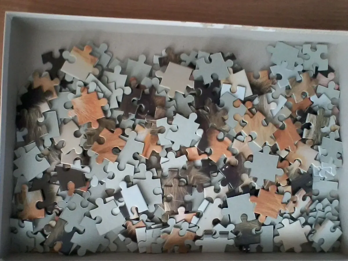 Пазл кот и пёс.260 частей формат:400/600 2