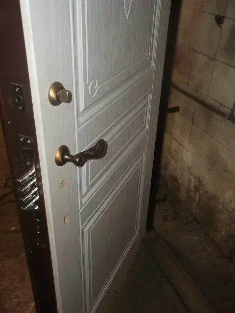 Металлические двери 3