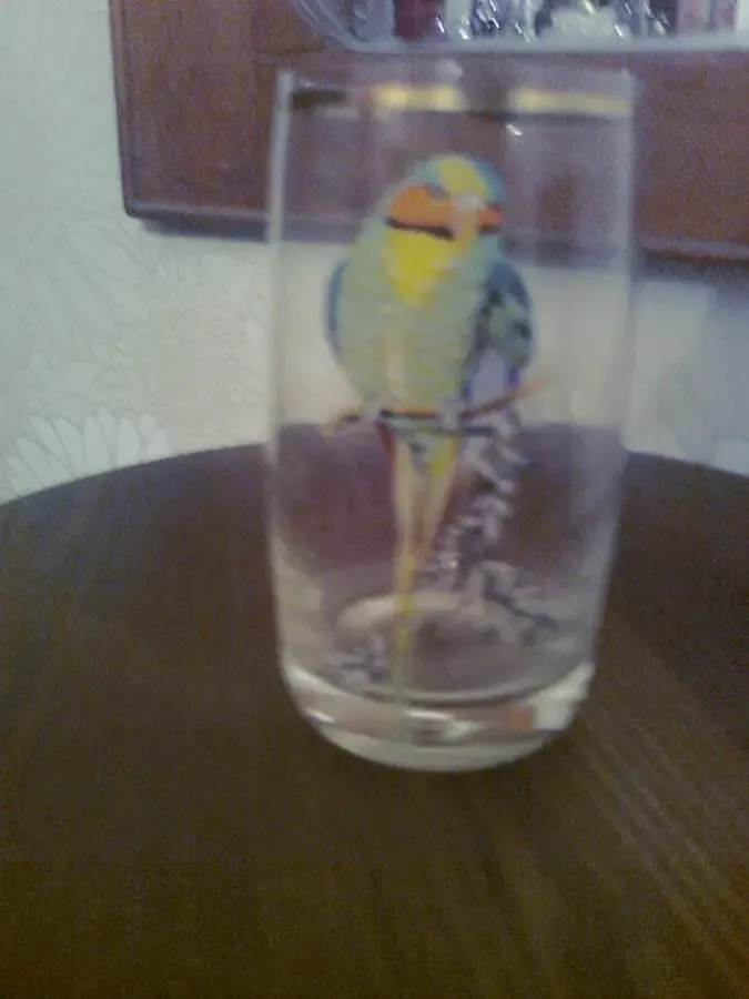 Оригинальный стакан с ПОПУГАЯМИ. РЕТРО 6