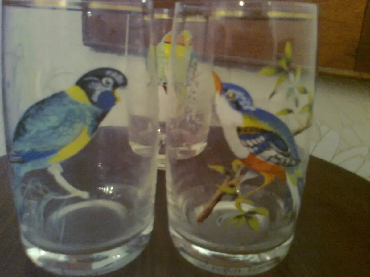 Оригинальный стакан с ПОПУГАЯМИ. РЕТРО 5