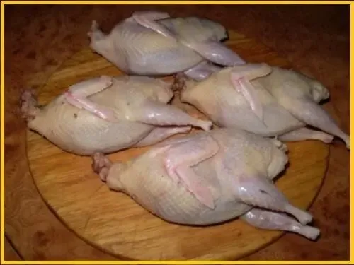 Перепелиные яйца - перепелов, домашние. 2